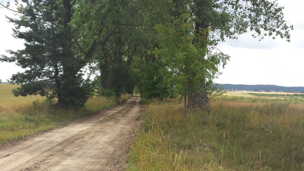Działka rolna, podzielona na 13, możliwość wystąpienia WZ, Wiele