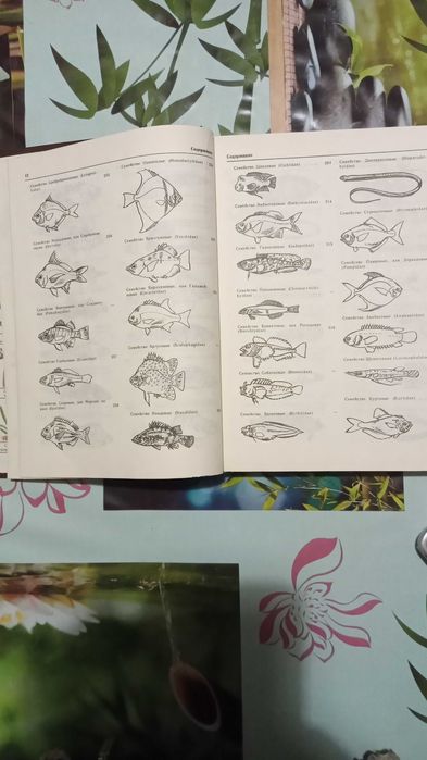 Продаю книгу.А.М.Кочетов  Декоративное рыбоводство