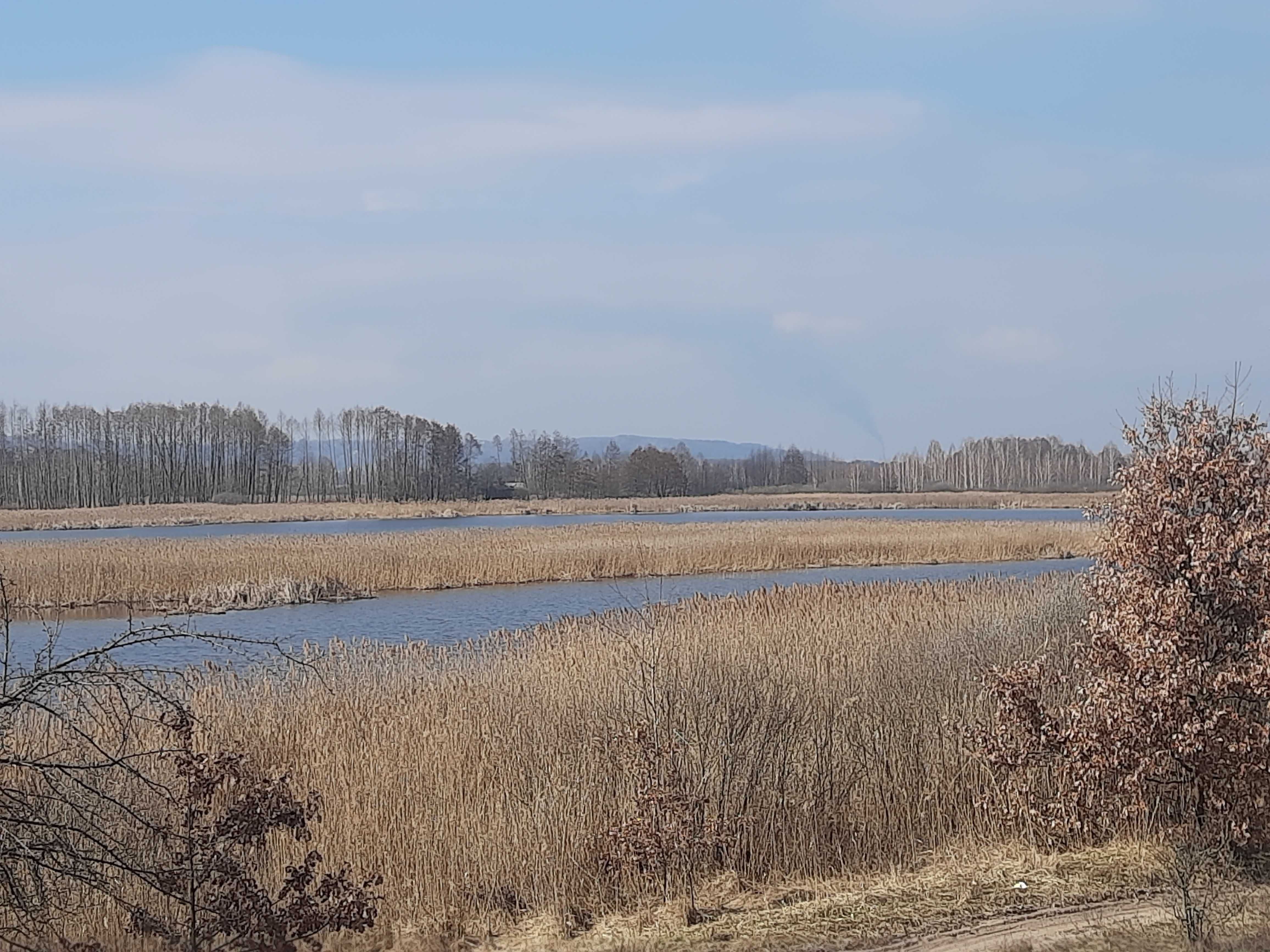 Земельна ділянка під ОСГ пл. 2,0 га с. Головурів Бориспільський р-н