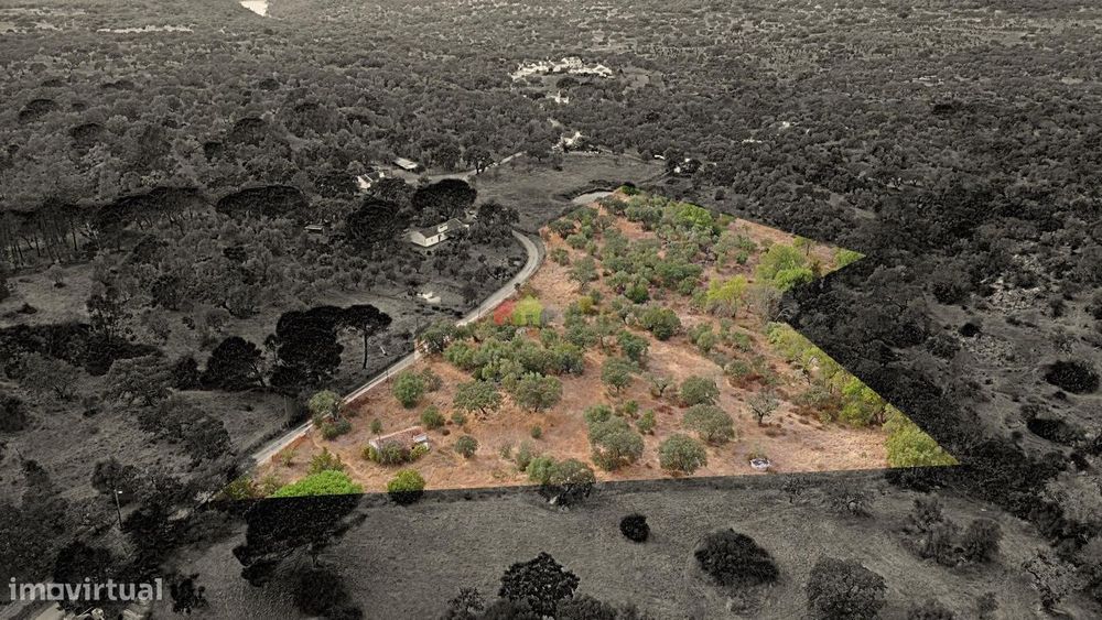 Venda Quinta/Herdade