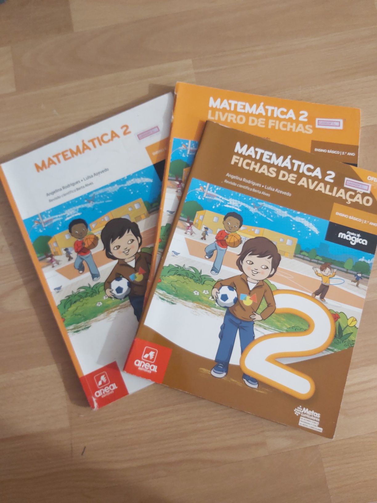 Kit Matemática 2° ano AREAL