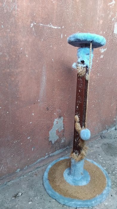 Когтеточка под реставрацию