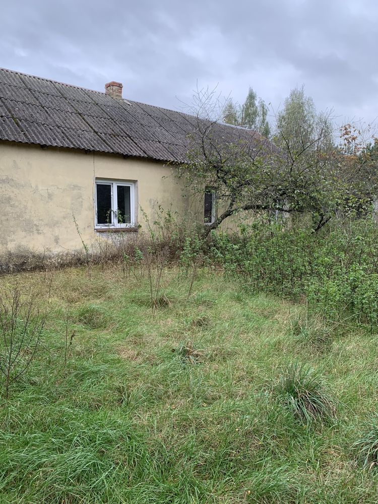 Sprzedam siedlisko w lesie gm. Tłuchowo