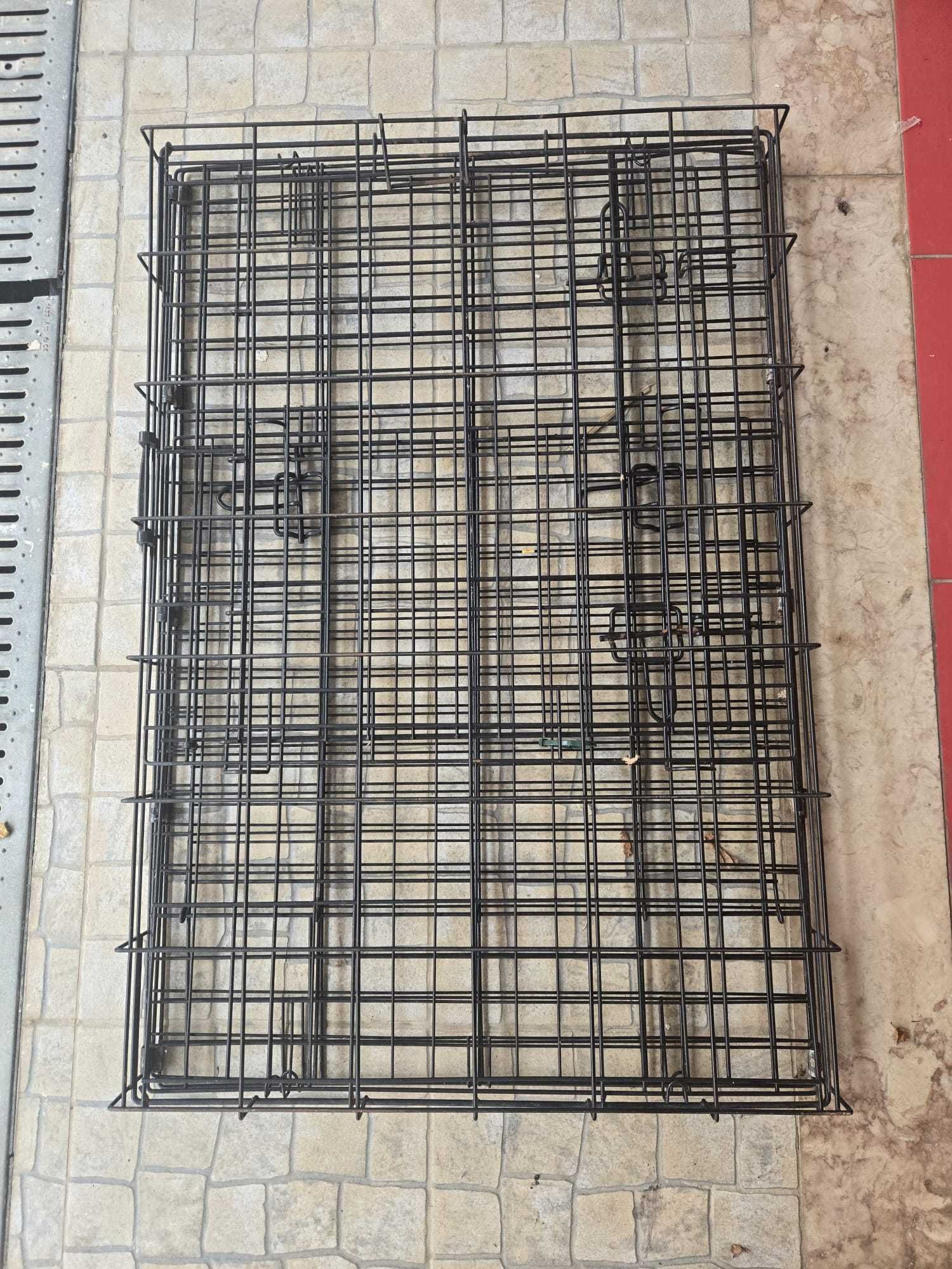 Transportadora cães