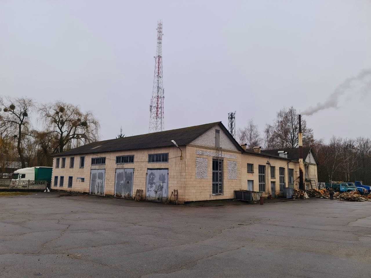 Здам бокс від 150 м² в смт Рокитне під ваші потреби. ТЕРМІНОВО!