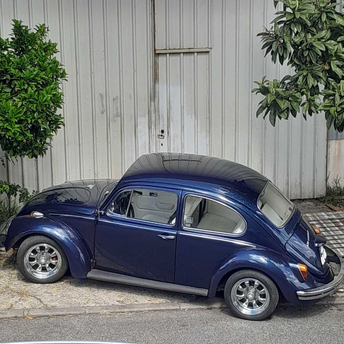 Carros para eventos