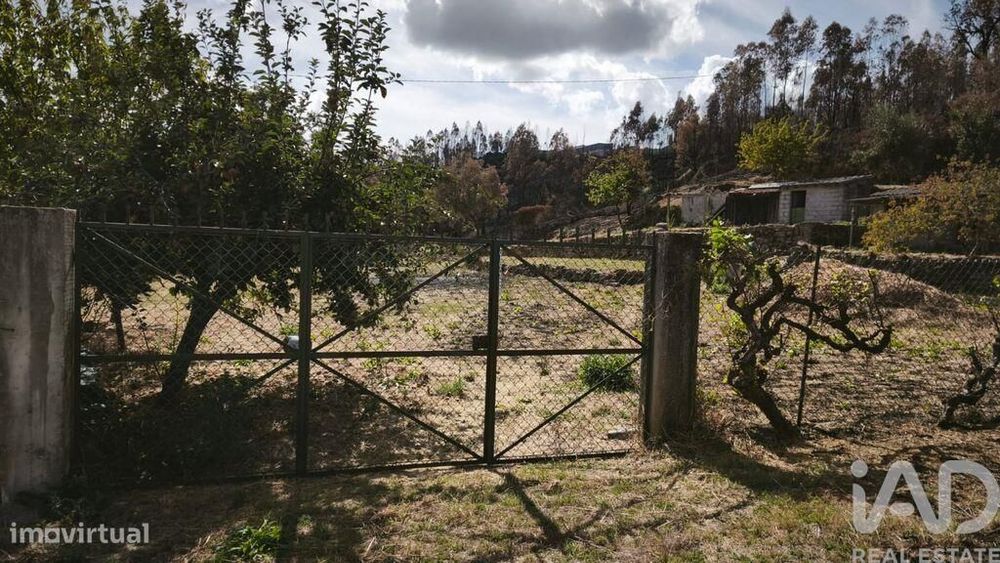 Terreno em Santa Ovaia e Vila Pouca da Beira de 1300,00 m2
