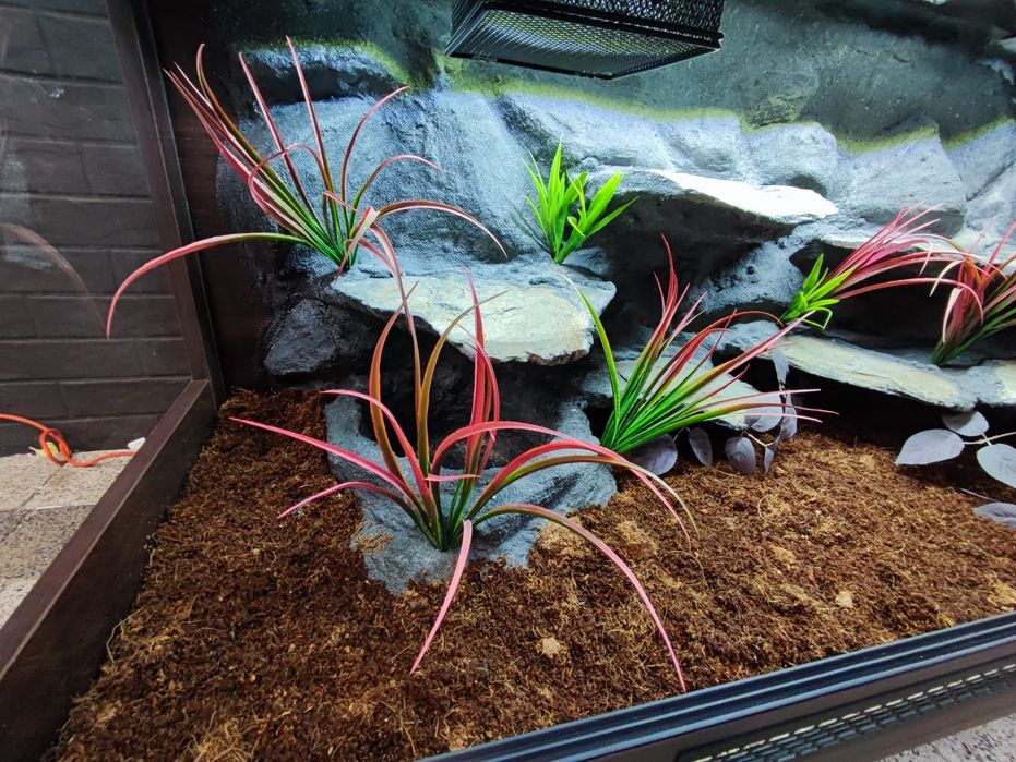 Terrarium 120x50x60 wąż pyton boa PETMARKET