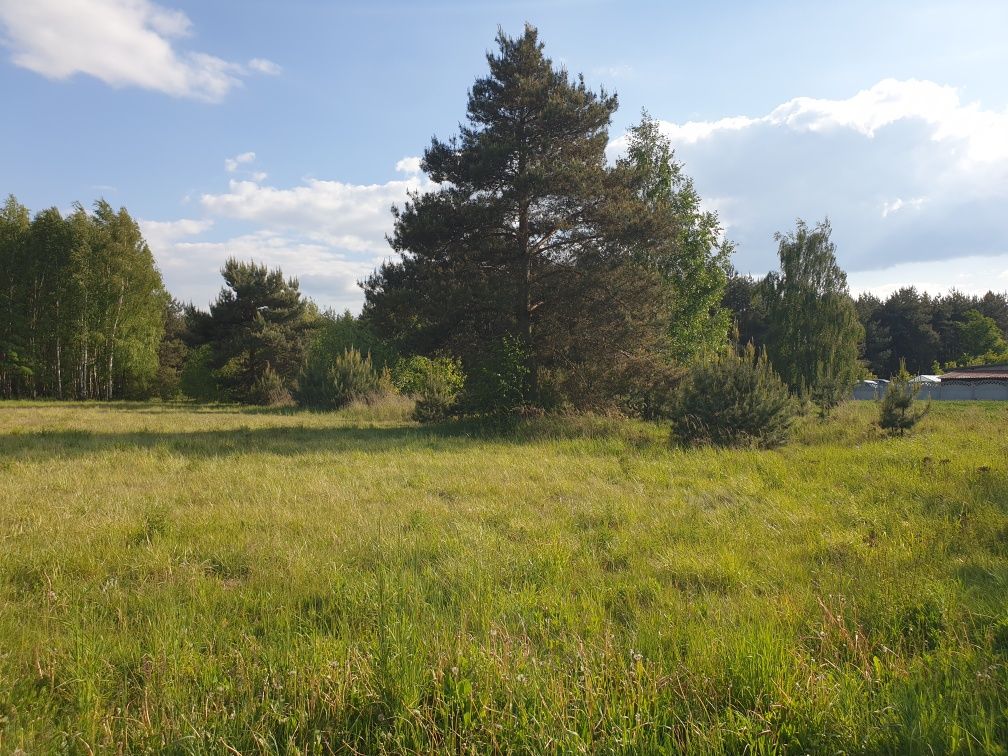 Działka budowlana 65 arów