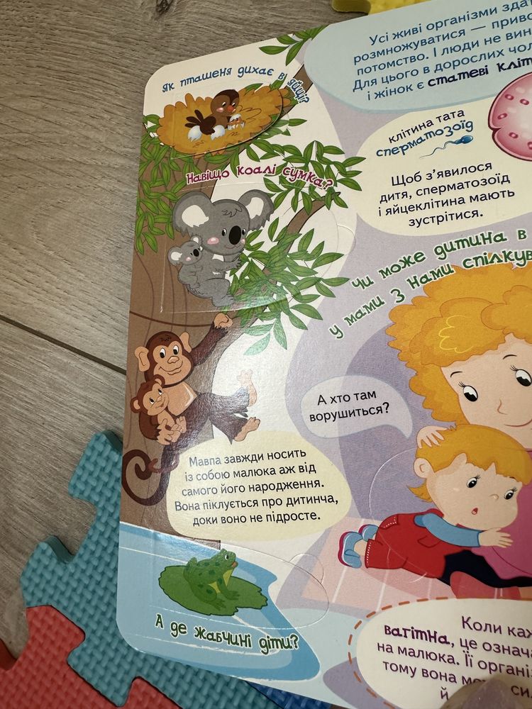 Книжка з віконцями Моє тіло