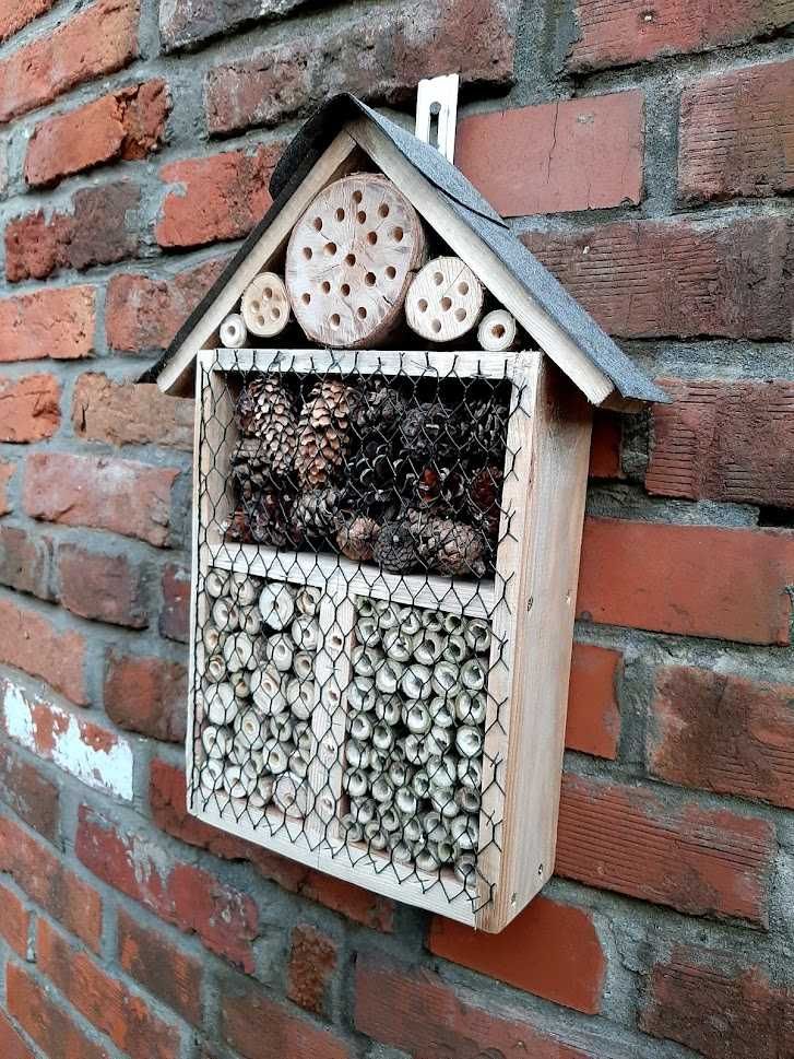 Hotel Domek dla owadów | Pszczoła murarka | Pszczoły w ogrodzie