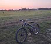 Rower ns bikes zircus