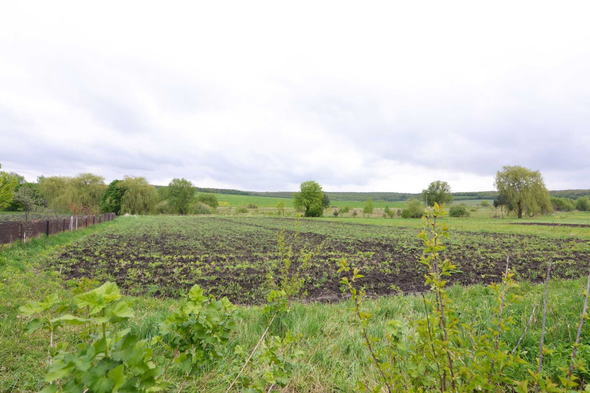 ТЕРМІНОВО продам будинок в селі Попелів