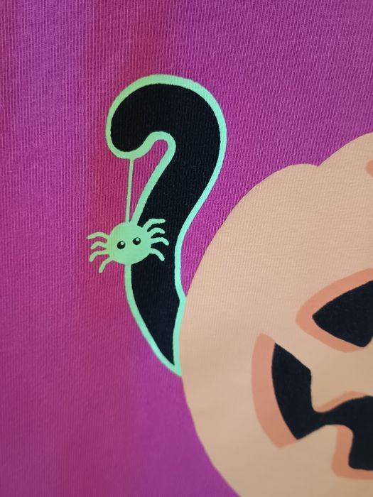 Koszulka Halloween kotek z dynią