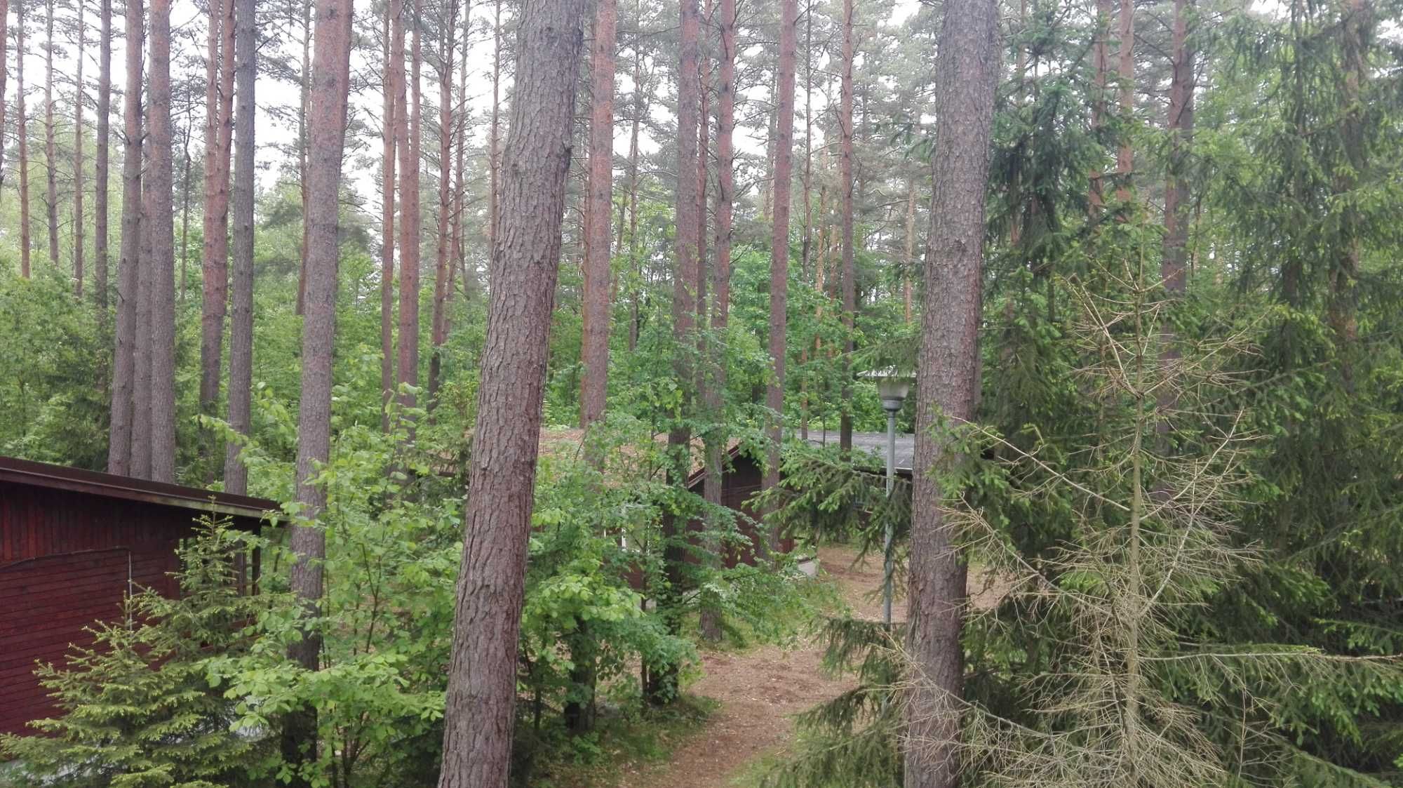 Domek Malinka Mazury nad jeziorem Sasek Wielki koło Szczytna nocleg