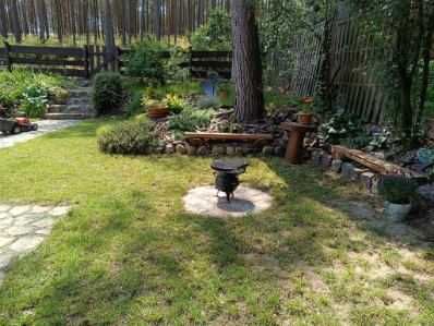 'Okna na las" wynajem mieszkań wakacyjnych