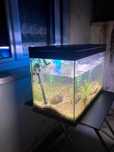 Aquário Aquatlantis de 150 L completo em boas condições