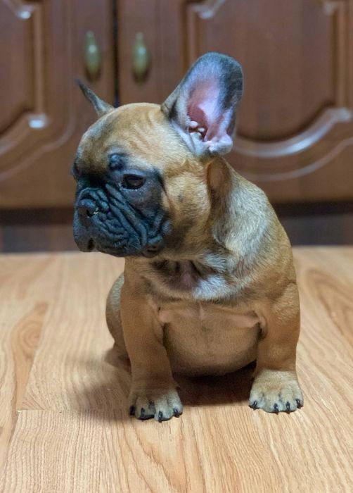 Красивый парнишка.