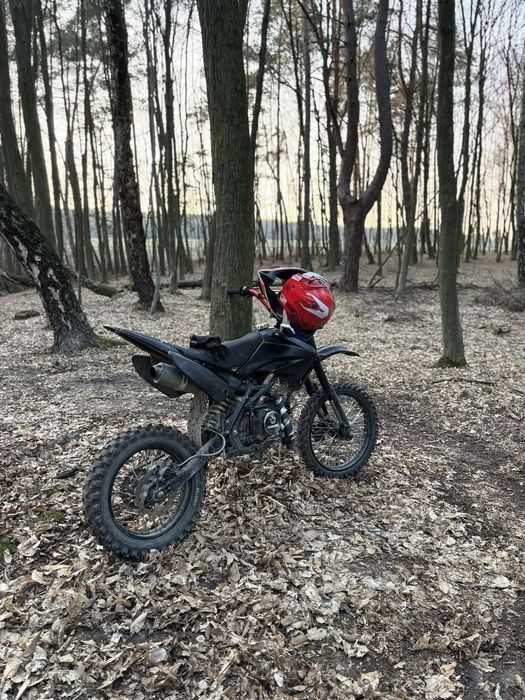 Pit bike Mrf 140 ork z40