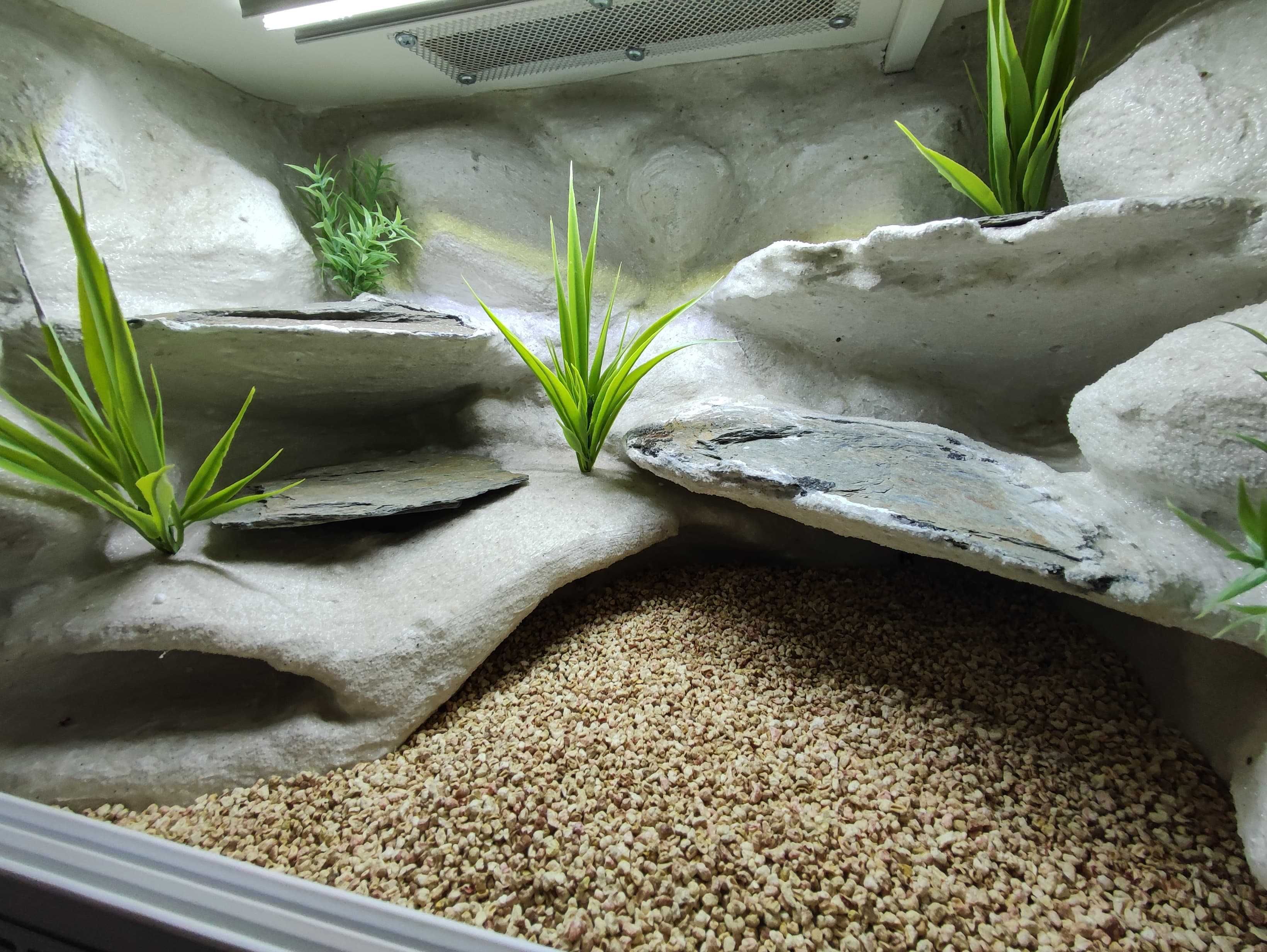 Terrarium pustynne nr711 60/40/40 dla gekona lamparciego DOSTĘPNE