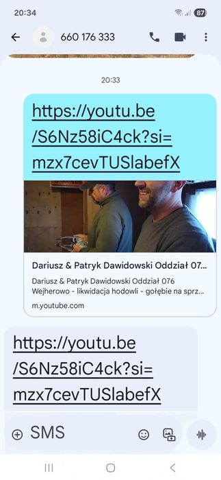 Gołąb pocztowy likwidacja