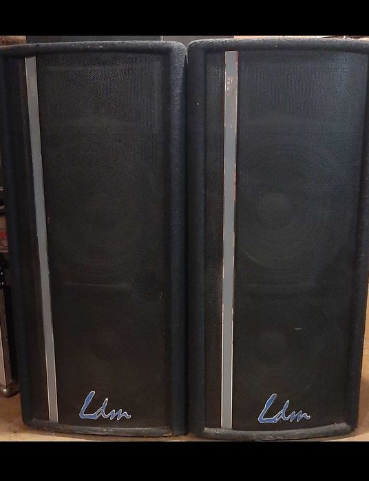 Kolumny LDM 600RMS