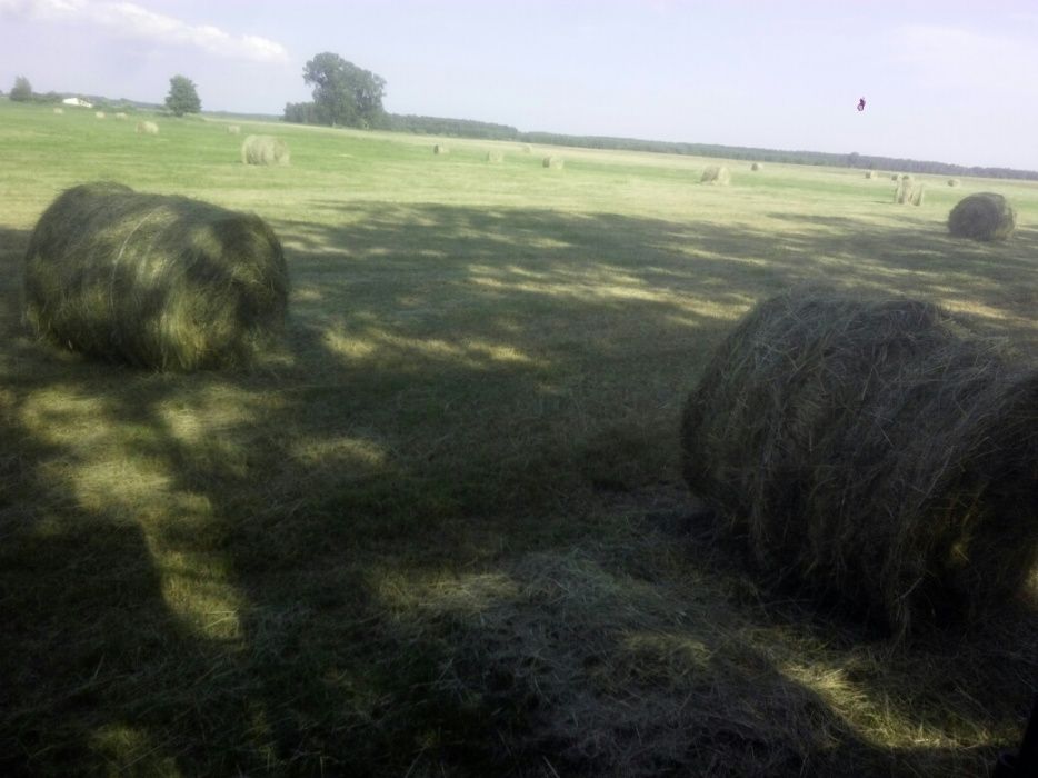 Siano łąkowe,sprzedam siano,sloma owsiana i jeczmienna o