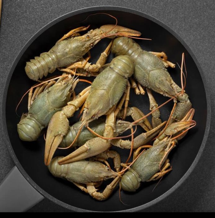 Раки середнього  розміру!