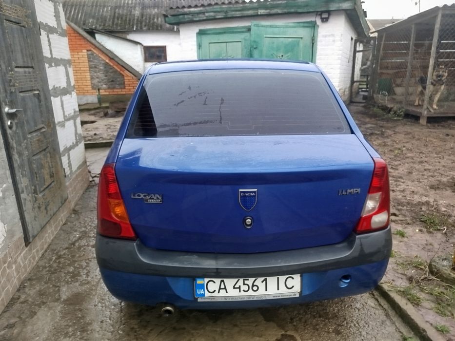 Логан на новій зимовій ризині