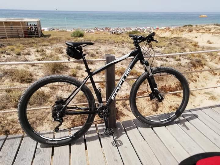 Bicicleta focus whistler lite 29
