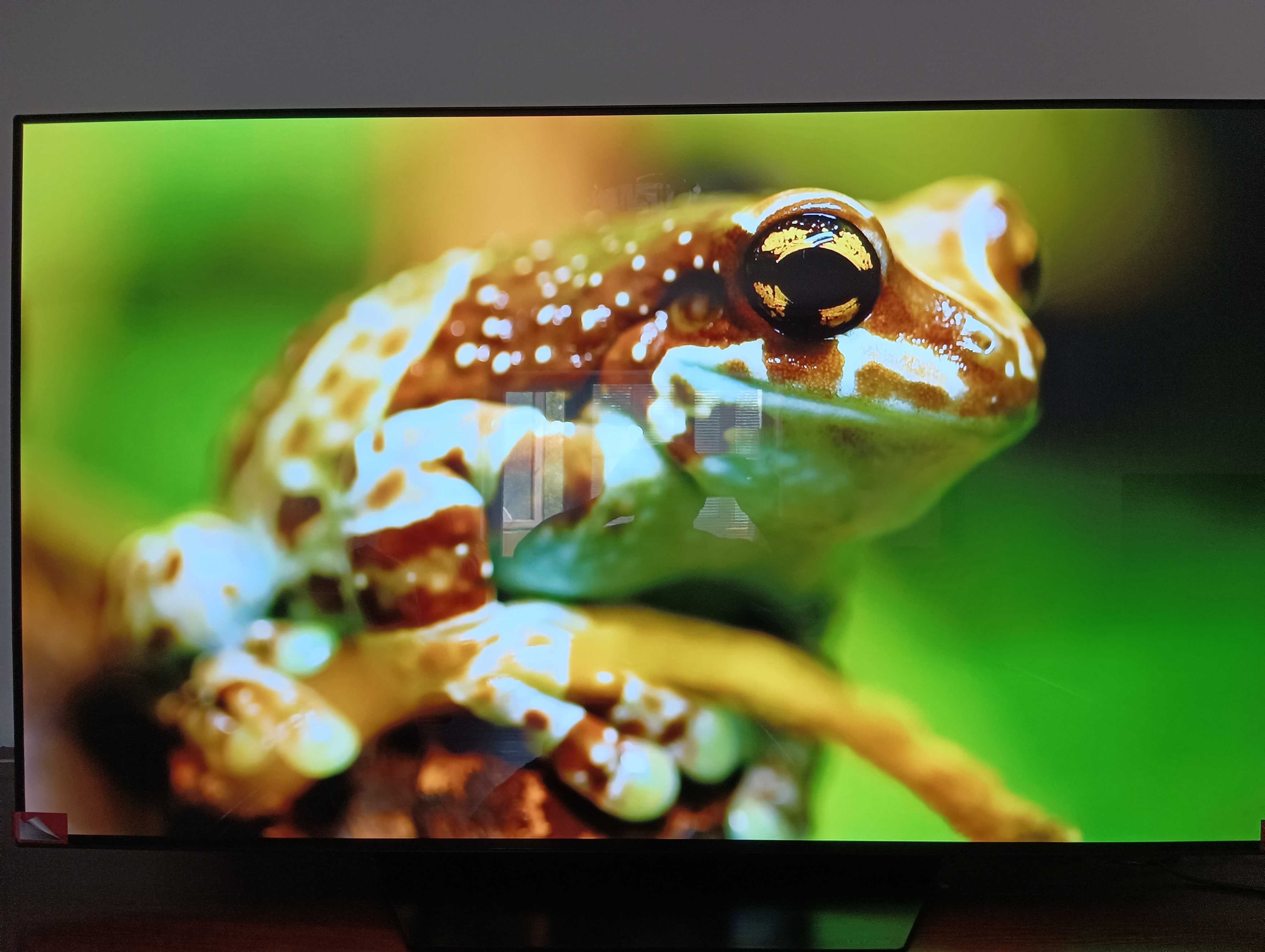 Телевізор LG OLED55BX