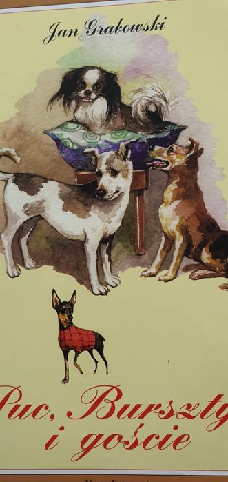 Puc Bursztyn I goście lektura za groszeeeee