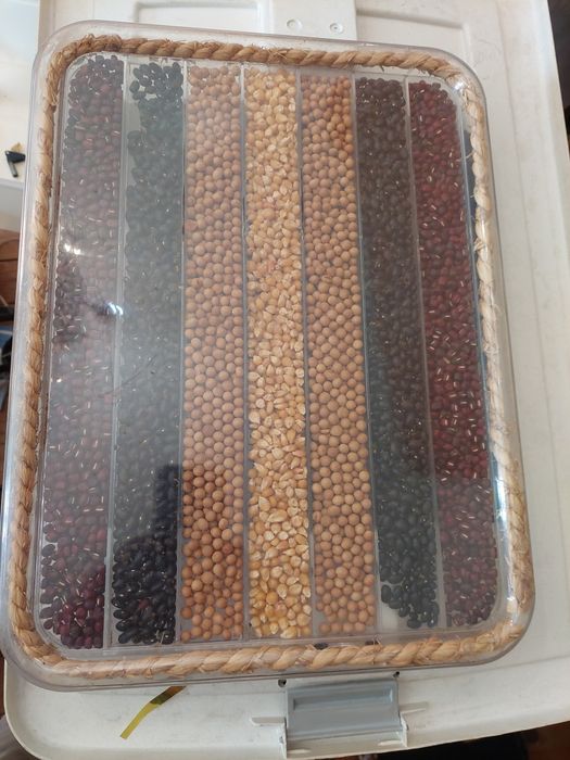 Tabuleiro em plástico muito decorativo