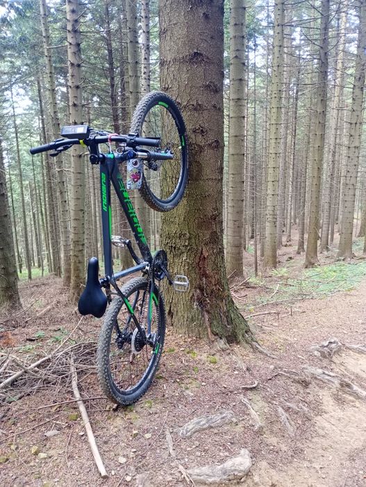 Rower indiana 26/27.5