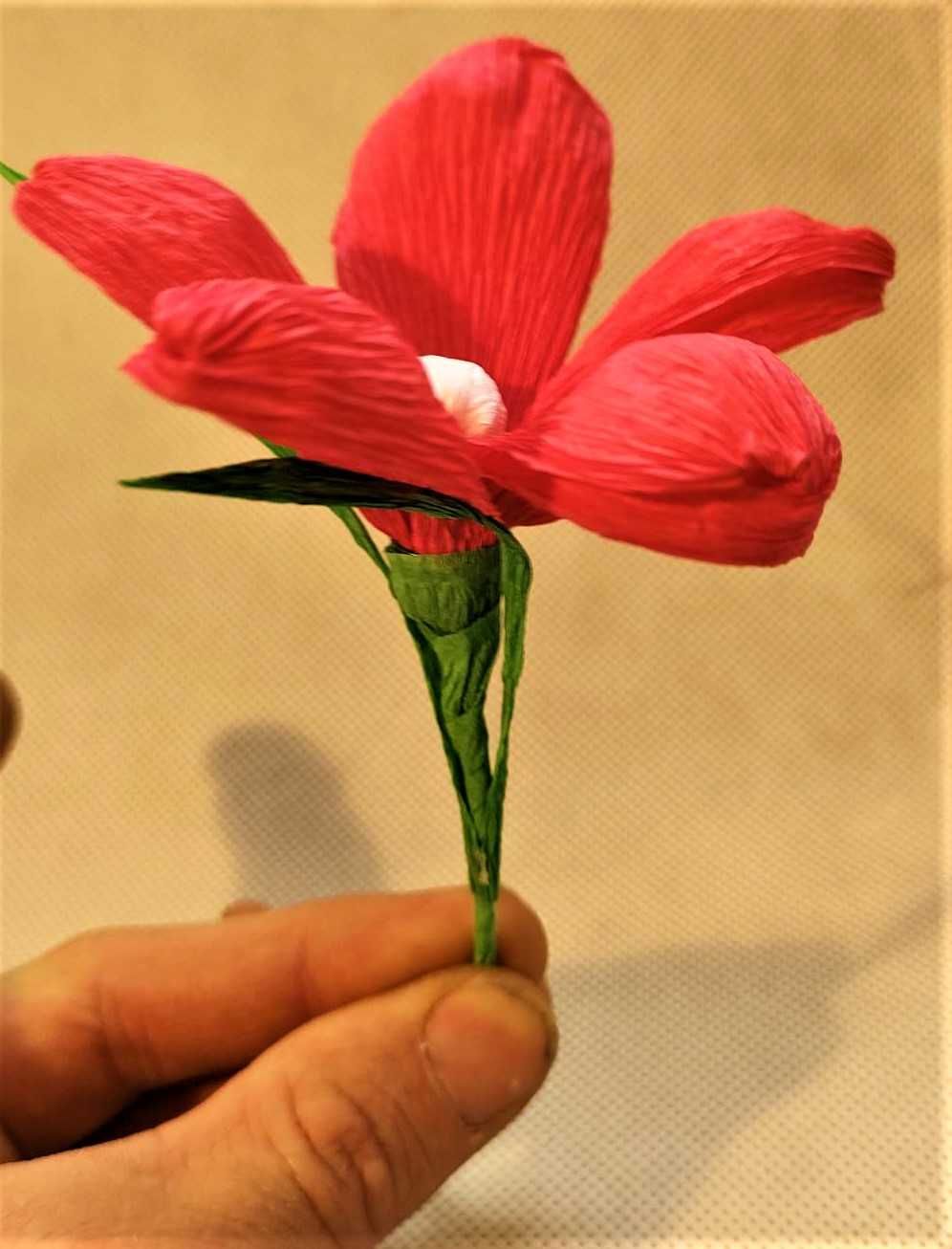 Kwiaty z krepiny- Dalia zmienna