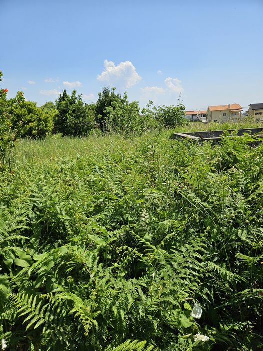 Limpeza de terrenos com Roçadora