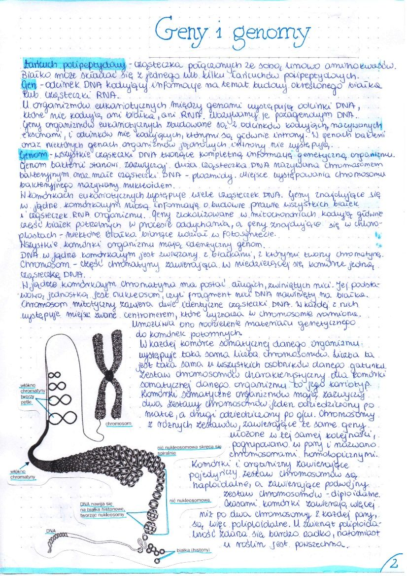 Notatki z biologii
