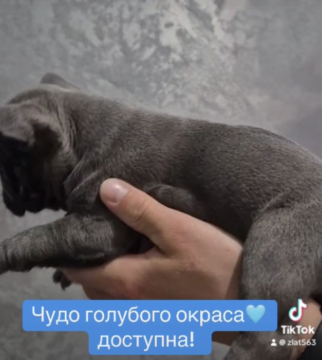 Голубая девочка с голубыми глазками