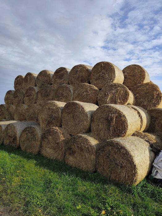 Sprzedam Słomę zimową