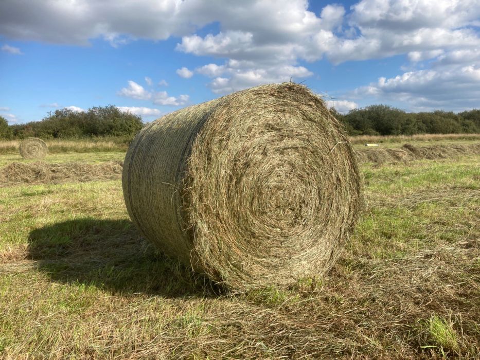 Sianokiszonka z łąk naturalnych. Dobra jakość. Transport cała Polska