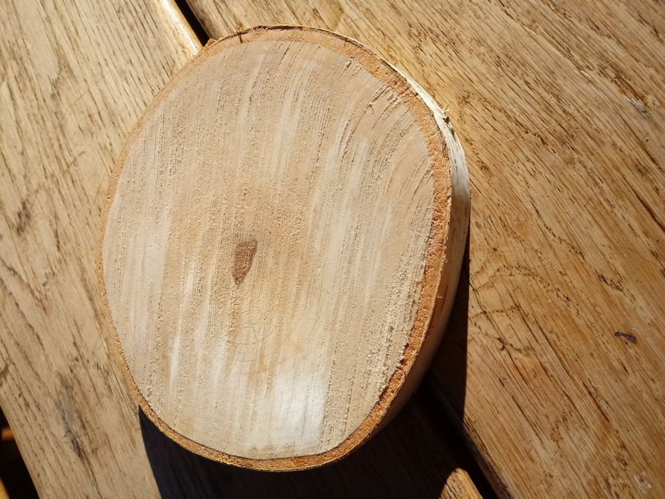 Krążek drewniany-plastry