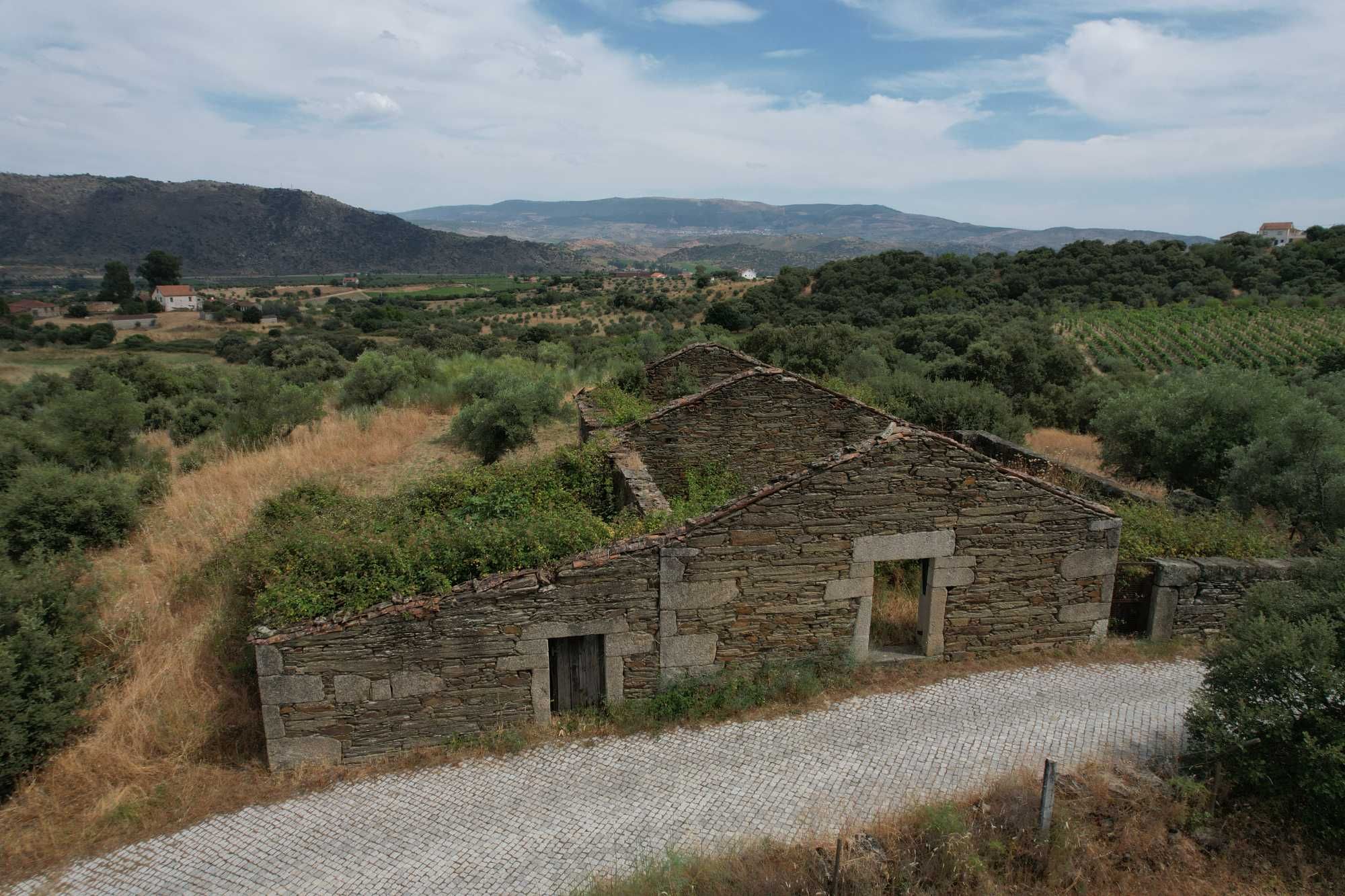 Terreno com 8 hectares, 2 Casas para reconstruir + poço e Olival
