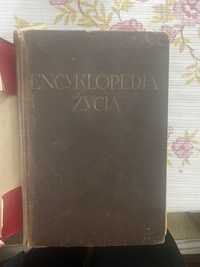 Encyklopedia Życia