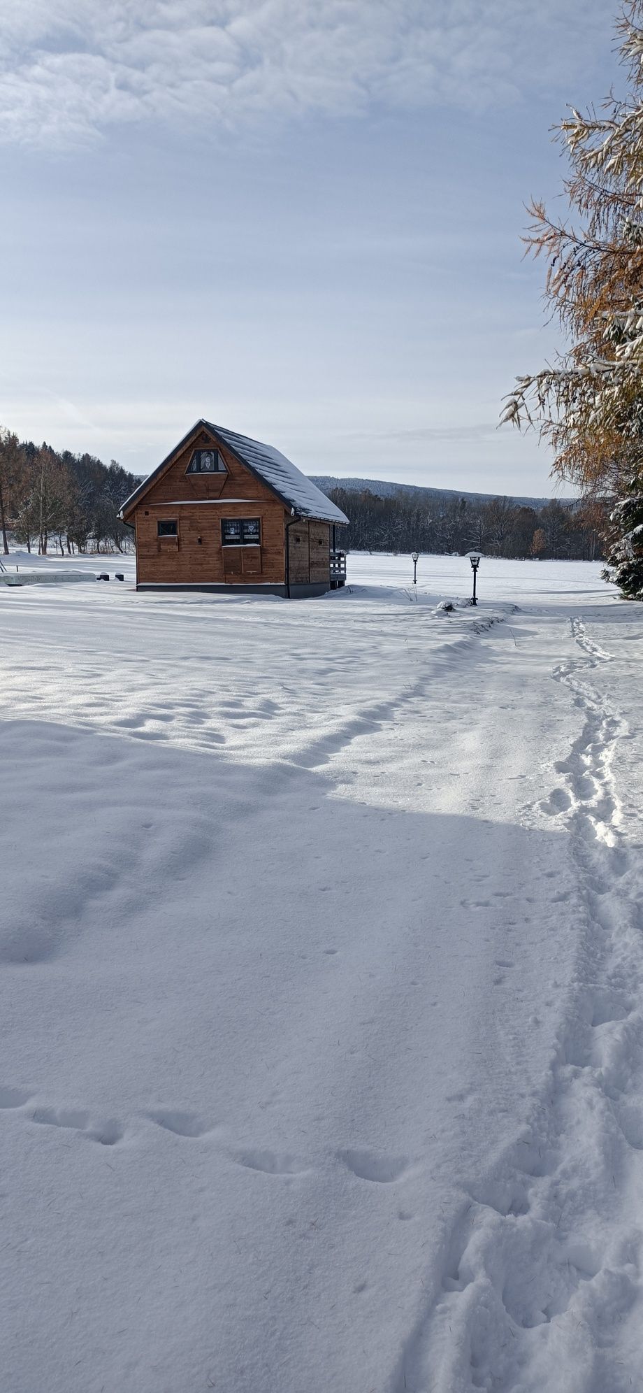 Domek Skitnica- drewniany dom