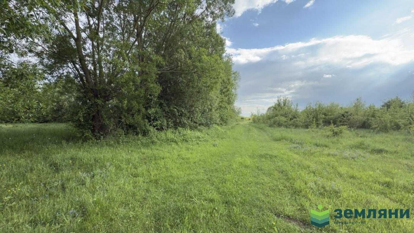 Продається ділянка 15 сот в с. Березівка