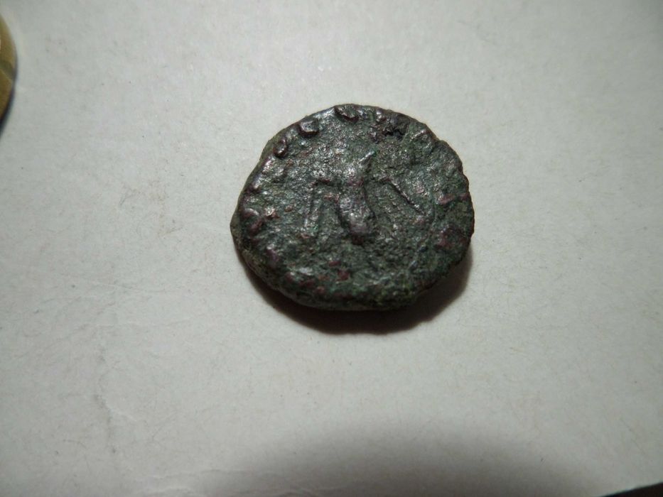 Moeda Romana em 'Bolhão' / Bronze (para identificar /Classificar) 143