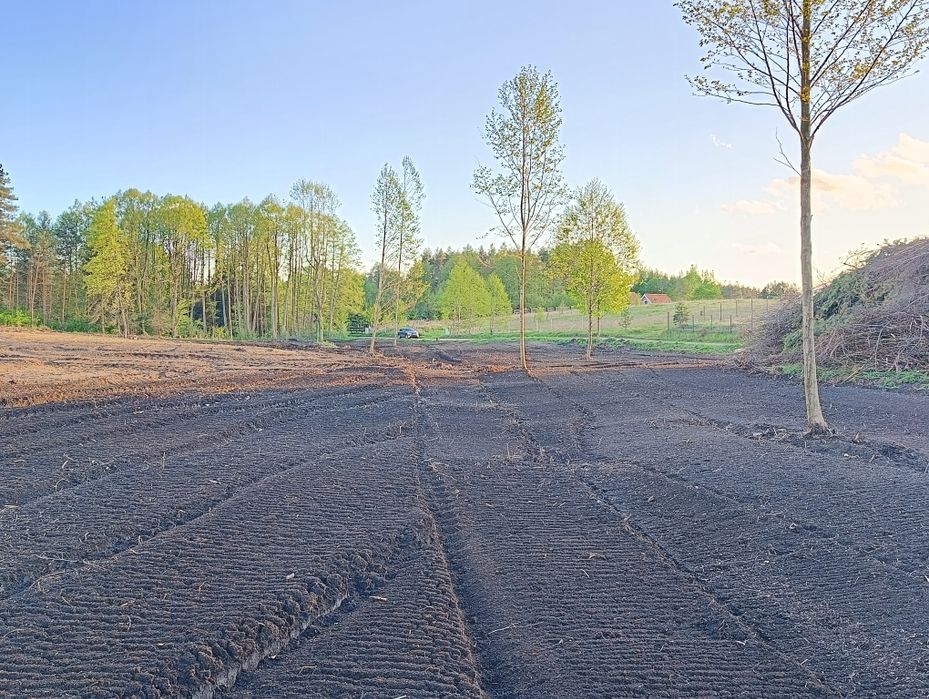 MulczerLesnyWgłębnyWycinkaDrzewSamosiewówPraceZiemneUsługiKoparką