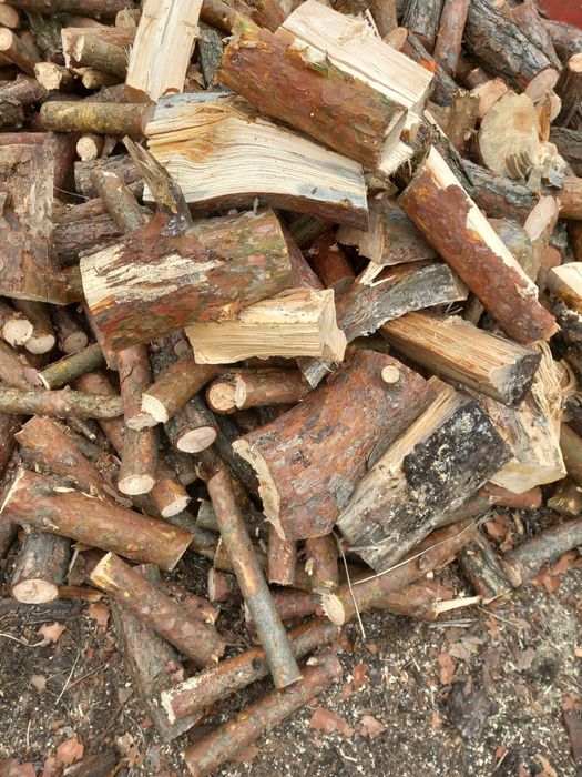 Drewno opałowe sosna pocięte porąbane