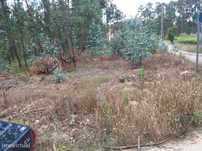 Terreno  para venda