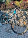 Rower TREK DUAL SPORT 2 Gen 4 Mulsanne Blue